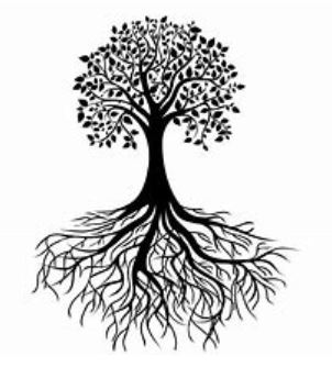 LIENS ET ASSOCIATIONS