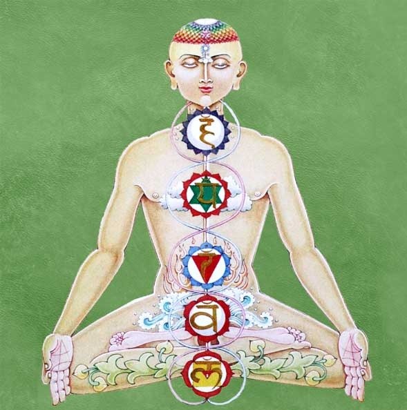 YOGA et pratiques ASHTANGA : IYENGAR, YIN, VINYASA